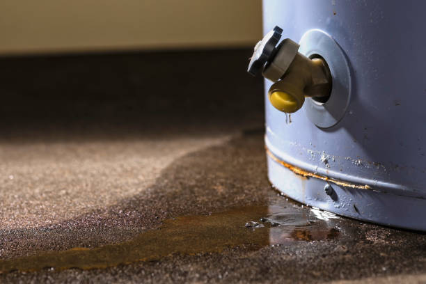 Best 24-hour water damage restoration  in Shadow Lake, WA