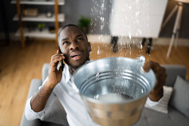 Best Carpet water damage restoration  in Shadow Lake, WA