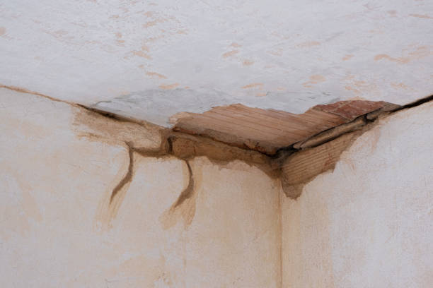 Best Water damage cleanup near me  in Shadow Lake, WA
