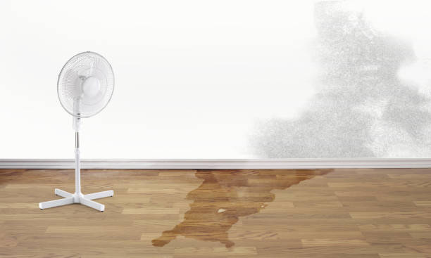 Sewage cleanup and water damage restoration in WA