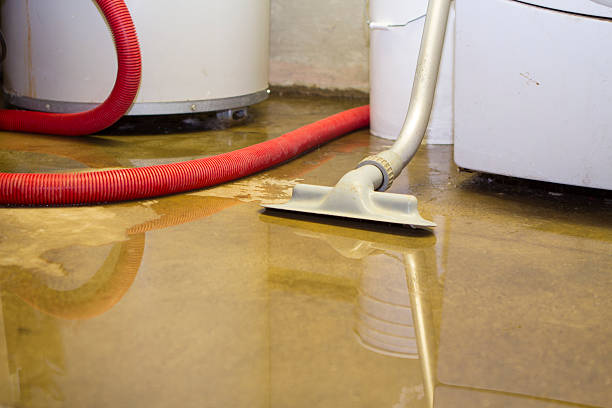 Best Sewage cleanup and water damage restoration  in Shadow Lake, WA