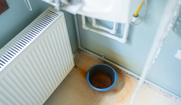 Best Flood damage cleanup  in Shadow Lake, WA