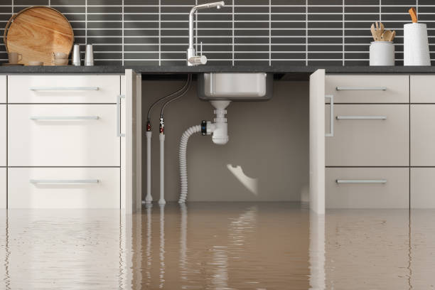 Water damage restoration experts in WA